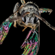 Illustration for article titled 11 Glittering Insects From the US Geological Surveys Bug Collection